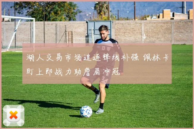 湖人交易市场追逐锋线补强 佩林卡盯上即战力助詹眉冲冠