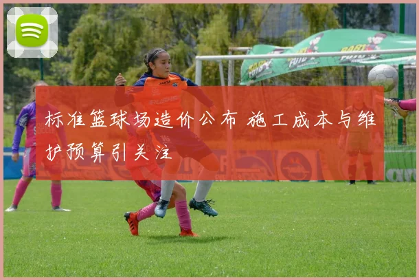 标准篮球场造价公布 施工成本与维护预算引关注