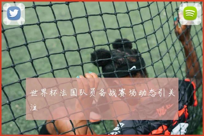 世界杯法国队员备战赛场动态引关注