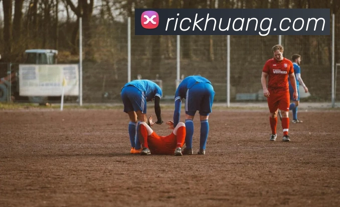 华体登录平台生态图